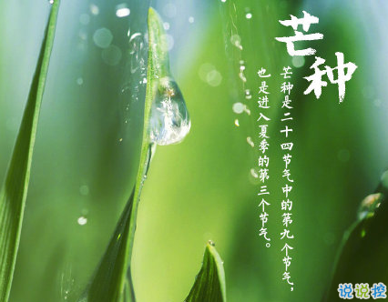 芒種朋友圈說(shuō)說(shuō)帶圖片 2020最新芒種祝福語(yǔ)說(shuō)說(shuō)3