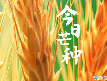 芒種朋友圈說(shuō)說(shuō)帶圖片 2020最新芒種祝福語(yǔ)說(shuō)說(shuō)1