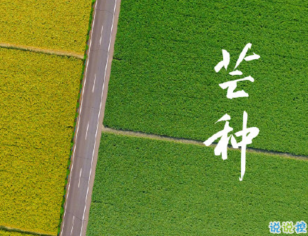 芒種朋友圈說(shuō)說(shuō)帶圖片 2020最新芒種祝福語(yǔ)說(shuō)說(shuō)7