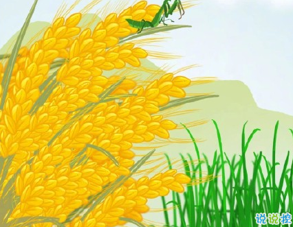 芒種朋友圈說(shuō)說(shuō)帶圖片 2020最新芒種祝福語(yǔ)說(shuō)說(shuō)12