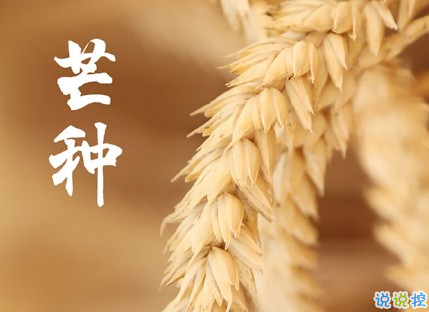 芒種朋友圈說(shuō)說(shuō)帶圖片 2020最新芒種祝福語(yǔ)說(shuō)說(shuō)14