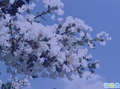 真的好累的說說帶圖片 累了倦了的心情說說13