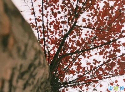 失戀的句子看完哭出聲 心很痛很難過(guò)的說(shuō)說(shuō)2