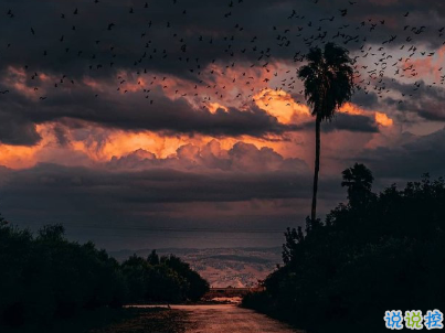 晚安勵志語錄帶圖片 晚安心語勵志雞湯11