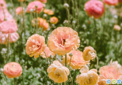 一句話哲理句子人生感悟 人生沒有白走的路1