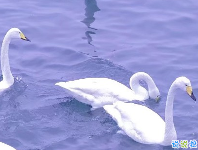 官宣戀愛的說說配圖 官宣句子簡短創(chuàng)意13