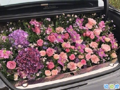 官宣戀愛的說說配圖 官宣句子簡短創(chuàng)意4