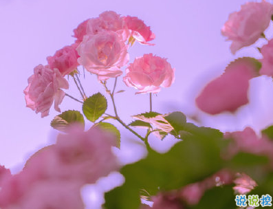 官宣戀愛的說說配圖 官宣句子簡短創(chuàng)意7