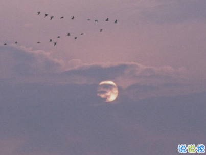 官宣戀愛的說說配圖 官宣句子簡短創(chuàng)意6