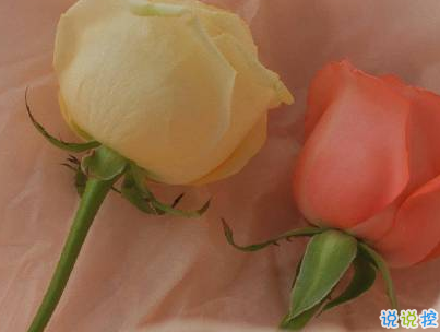 官宣戀愛的說說配圖 官宣句子簡短創(chuàng)意1