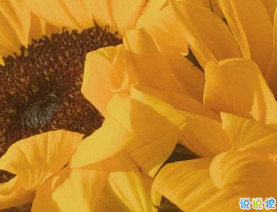 官宣戀愛的說說配圖 官宣句子簡短創(chuàng)意2