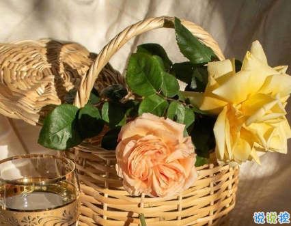 特別甜的愛情說說 00后最愛的愛情甜句子1