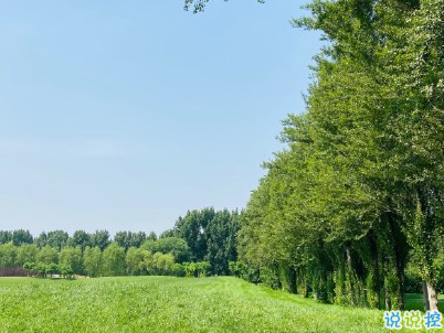 夏至節(jié)氣經(jīng)典句子 2020夏至說說優(yōu)美好聽2