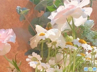 夏至節(jié)氣經(jīng)典句子 2020夏至說說優(yōu)美好聽1