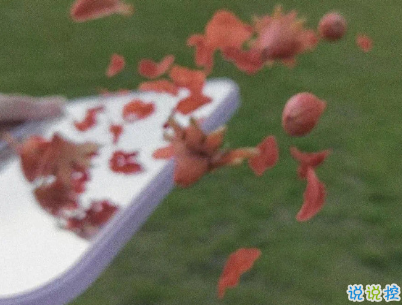 女生個(gè)性說(shuō)說(shuō)帶圖片 少見(jiàn)簡(jiǎn)短精辟的句子12