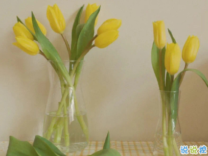 女生個(gè)性說(shuō)說(shuō)帶圖片 少見(jiàn)簡(jiǎn)短精辟的句子14