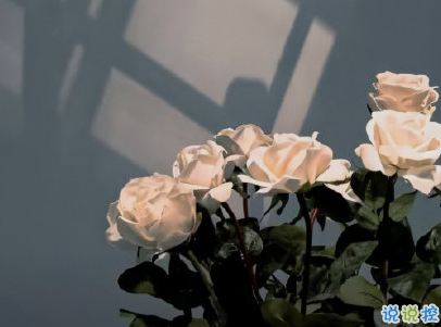 很失望的說說無可奈何 連再見都不知從何說起2