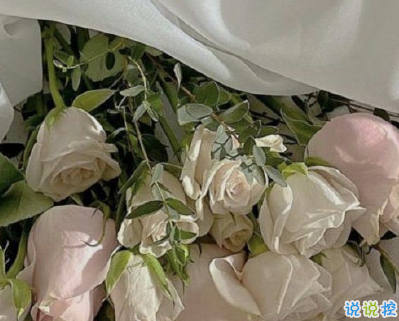 很現(xiàn)實(shí)的人生感悟精辟 讓人清醒的現(xiàn)實(shí)句子2