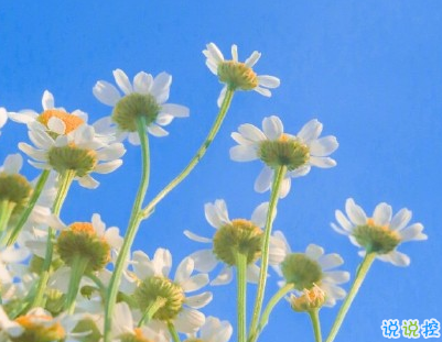 吐槽天氣熱的文案 夏天熱死人的搞笑短句2