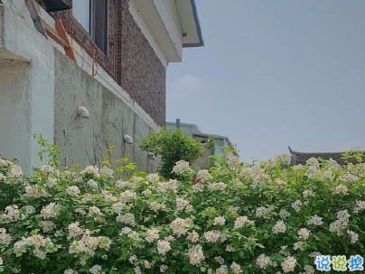 曬風(fēng)景照的唯美說說配圖 適合發(fā)風(fēng)景的朋友圈文案4