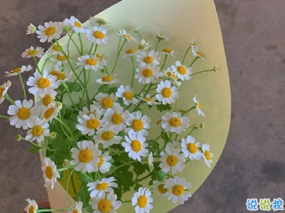 曬風(fēng)景照的唯美說說配圖 適合發(fā)風(fēng)景的朋友圈文案1