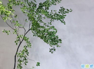 心好累想哭的說說 被徹底傷害的心情說說2