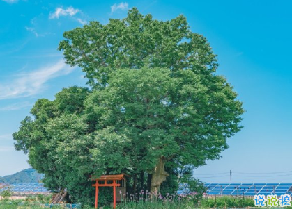 七月勵志短句致自己2020 越努力越幸運(yùn)2