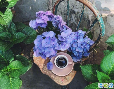 朋友之前的友誼說說配圖 友情經(jīng)典說說很暖心13