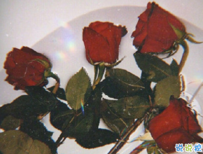 諧音梗土味情話大全帶圖片 油膩搞笑的土味情話2