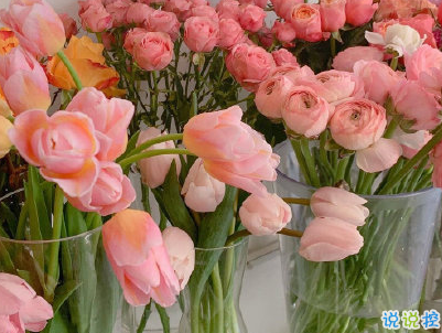 想脫單戀愛(ài)的心情句子 請(qǐng)?jiān)试S我成為你的夏季1