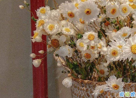 早安短句經(jīng)典大全 早安說說簡單一句話1