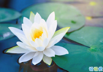 夏天說說唯美簡(jiǎn)單帶圖片 2020夏季干凈短句5