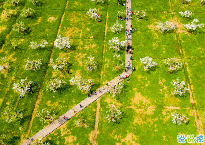 夏天說說唯美簡(jiǎn)單帶圖片 2020夏季干凈短句7