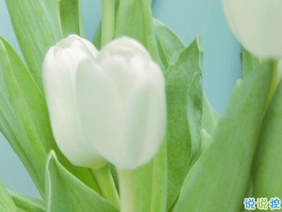 夏天小清新文案帶圖片 夏天簡短微信說說13