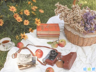 夏天小清新文案帶圖片 夏天簡短微信說說12