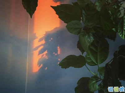 夏天小清新文案帶圖片 夏天簡短微信說說10