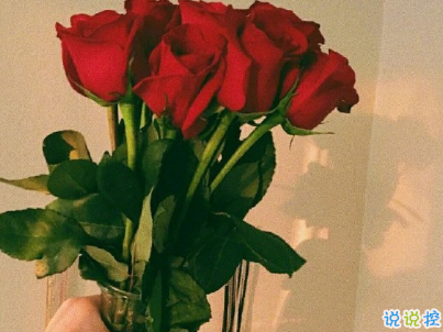 夏天小清新文案帶圖片 夏天簡短微信說說2