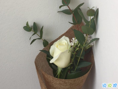 夏天小清新文案帶圖片 夏天簡短微信說說1