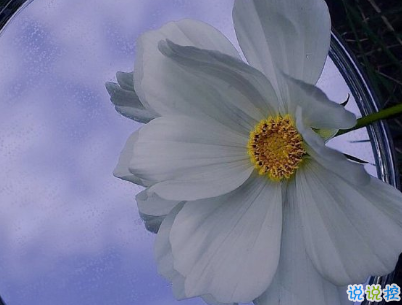 很酷的霸氣句子帶圖片 最新霸氣說說高冷范6