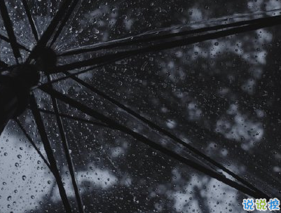 下雨天浪漫文案 雨天浪漫唯美說(shuō)說(shuō)帶圖片5