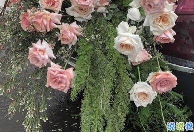 特別文藝的文案 朋友圈心情短語文藝范2