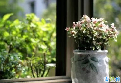 最新哲理句子精辟 哲理說說人生感悟2