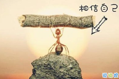 最新哲理句子精辟 哲理說說人生感悟1