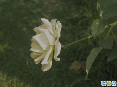 分手文案帶圖片 一句話分手說說13