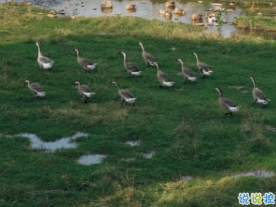 分手文案帶圖片 一句話分手說說12