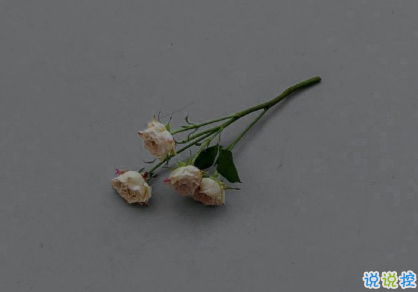 獨(dú)一無二的朋友圈說說 很少見特別的句子1