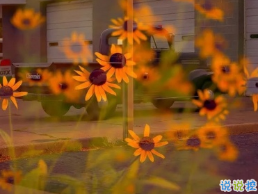 周末早安心語正能量 所有光芒都是努力埋下的伏筆2