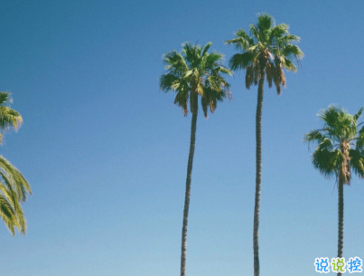 抖音經(jīng)典句子大全合集 有深度成熟的說說帶圖片7