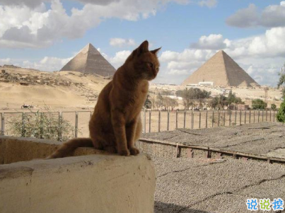 抖音經(jīng)典句子大全合集 有深度成熟的說說帶圖片3