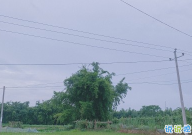 生活碎片小短句文藝 生活碎片朋友圈文案2